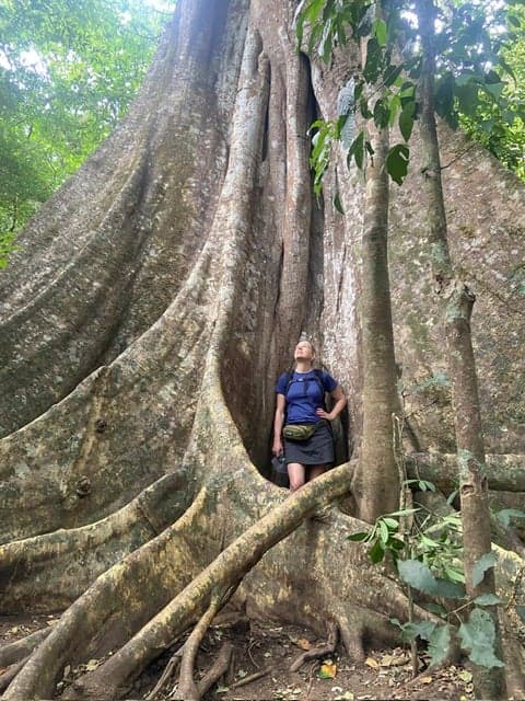 Catherine au pied d’un arbre immense, en forêt